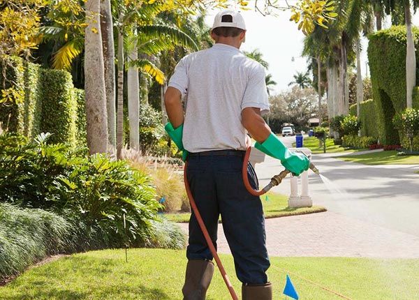 About Defiance MO Pest Control